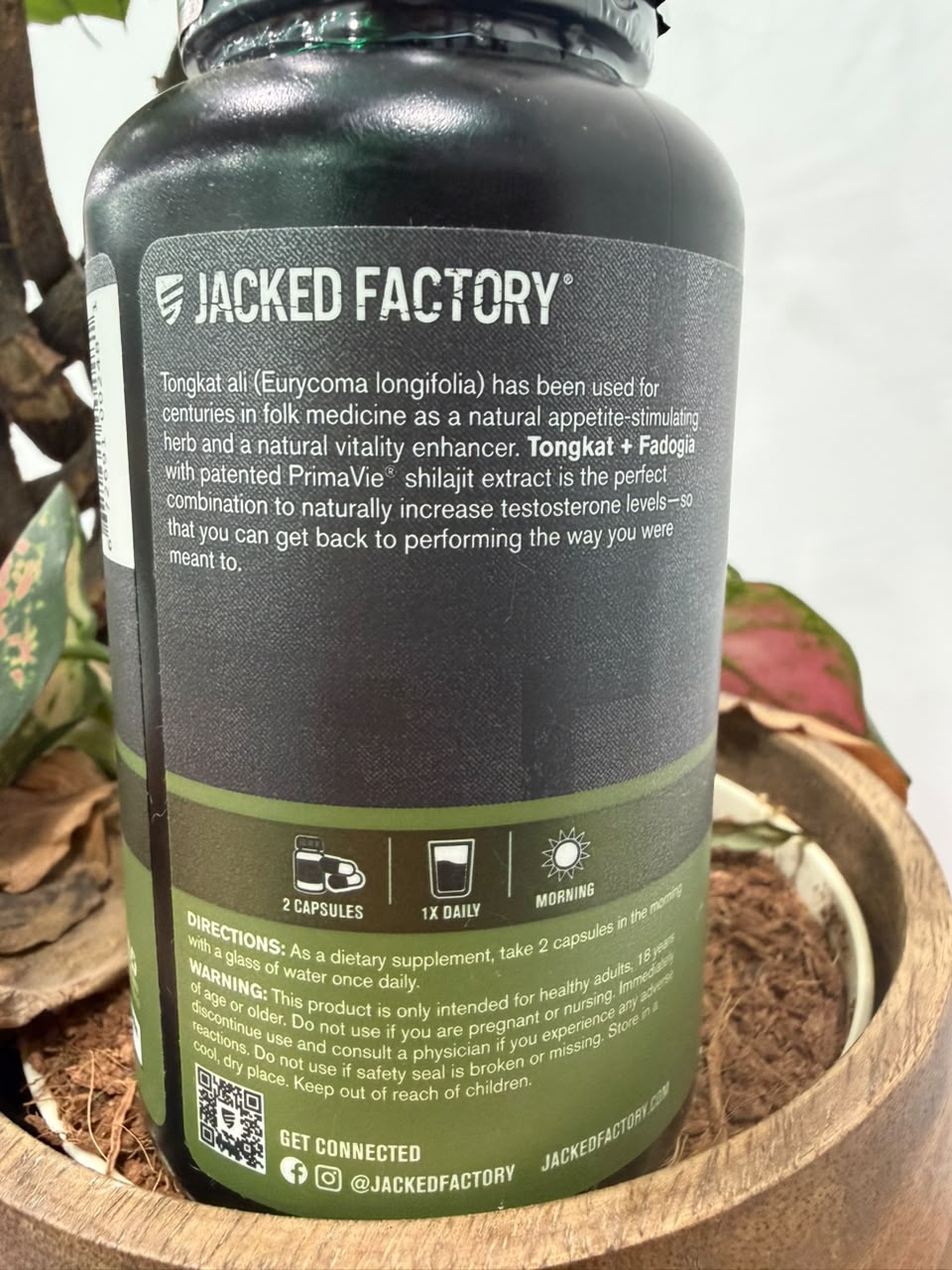Jacked Factory Tongkat Ali + Shilajit