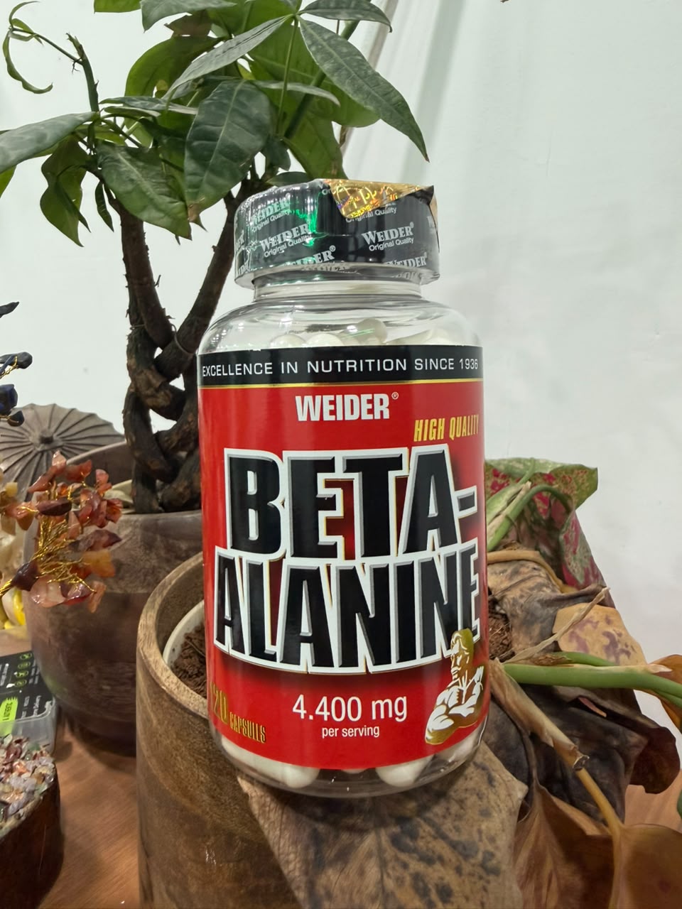 Weider Beta-Alanine (Workout blaster)